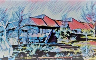 Saison 2021/22 abgebrochen – 5 Aufstiege